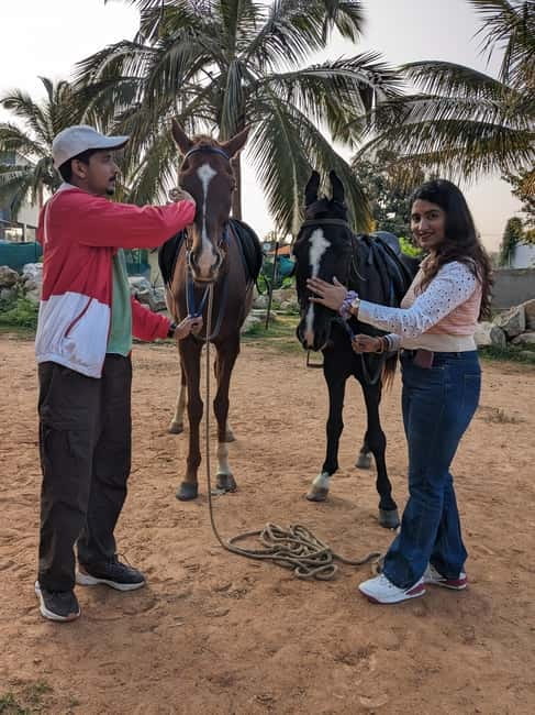 Bangalore: Horse Riding Safari Tour - Meeting at Kalyan Nagar and reaching the riding area
