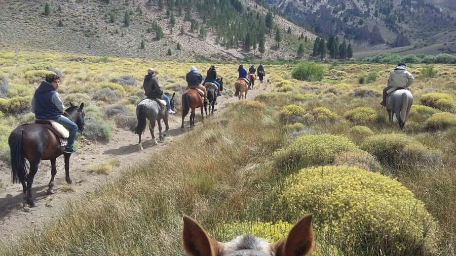Bariloche: Guided horseback rides in the Patagonian steppe - Key points to know before booking