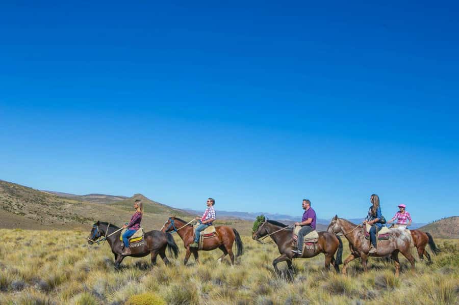 Bariloche: Guided horseback rides in the Patagonian steppe - From Bariloche to La Fragua in 45 minutes