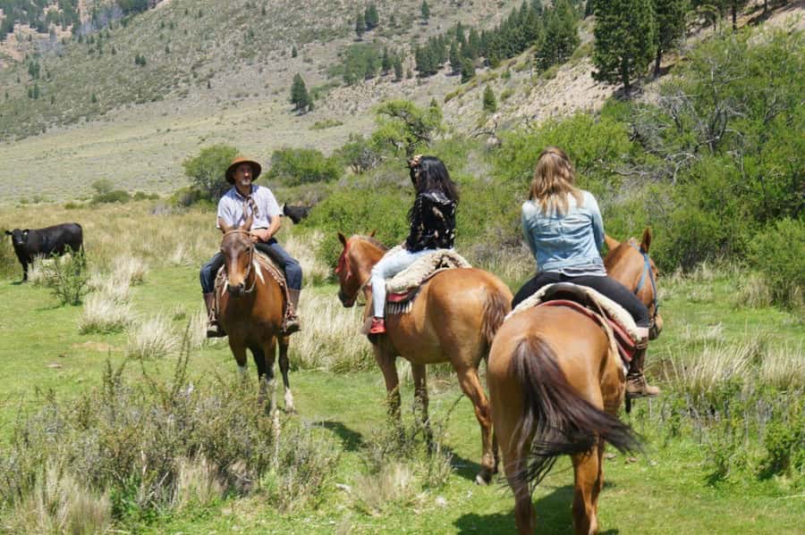 Bariloche: Guided horseback rides in the Patagonian steppe - Two hours across the Patagonian steppe