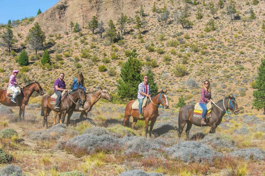 Bariloche: Guided horseback rides in the Patagonian steppe - Breakfast first, then a closer look at Patagonia