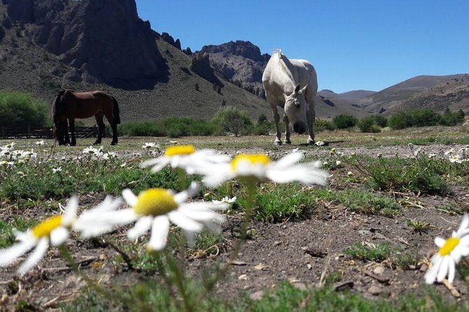Bariloche Horseback Riding & Traditional Argentine Barbecue Tour - Riding from Bariloche into San Ramón Ranch