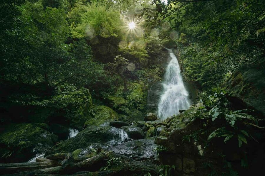 Batumi: Extreme Escape – ATV, Buggy, Horses & Hike - From Batumi to Mtirala in 45 minutes