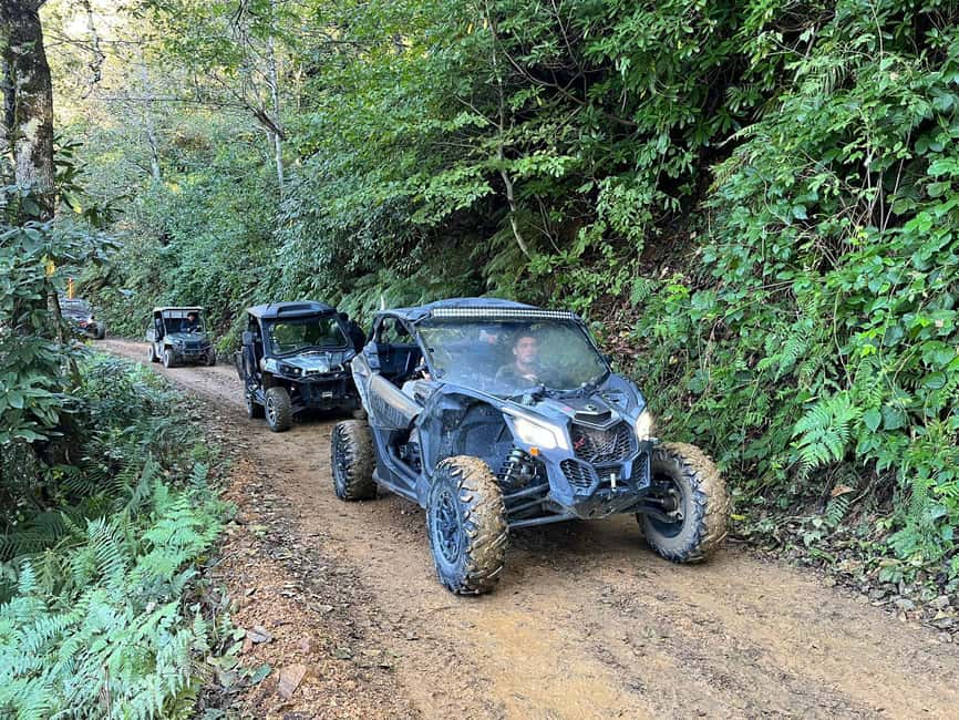 Batumi: Mtirala ATV, Buggy Maverick & Horse Riding Adventure - Key points before you book