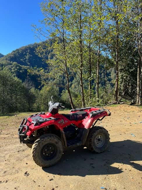 Batumi: Mtirala ATV, Buggy Maverick & Horse Riding Adventure - Wine, honey, and chacha along the way