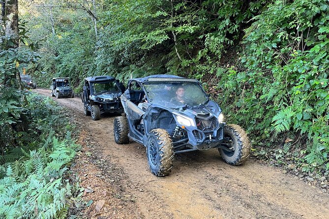 Batumi: Mtirala ATV, Buggy Maverick RZR & Horse Riding Adventure - From Batumi to Mtirala National Park