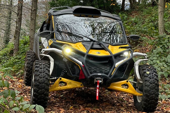 Batumi: Mtirala ATV, Buggy Maverick RZR & Horse Riding Adventure - Is the $10 price good value?