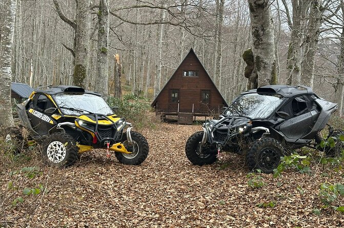 Batumi: Mtirala ATV, Buggy Maverick RZR & Horse Riding Adventure - Mtirala’s jungle setting