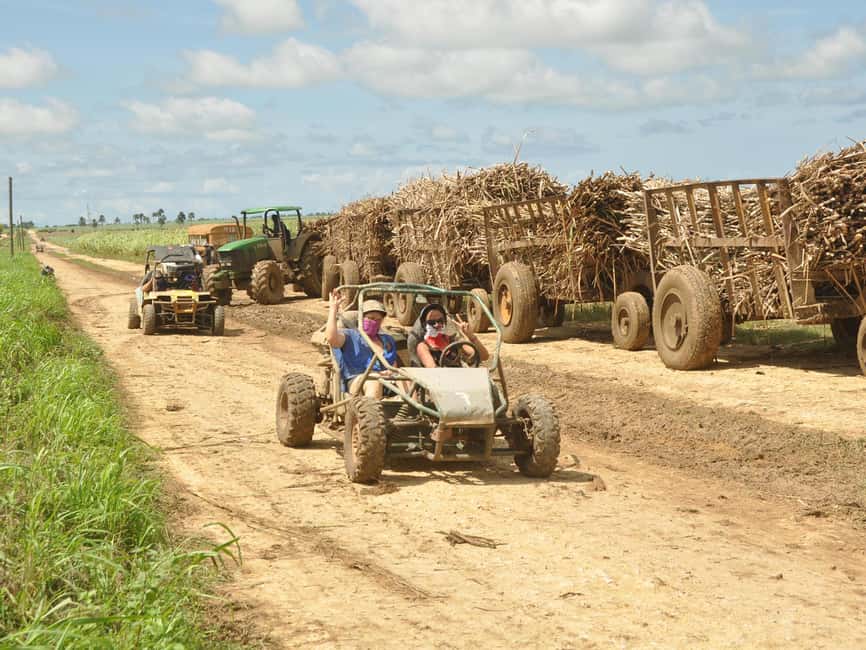 Bayahibe: Buggy and Horseback Riding Tour - Conucos, Sugarcane, and Everyday Dominican Life