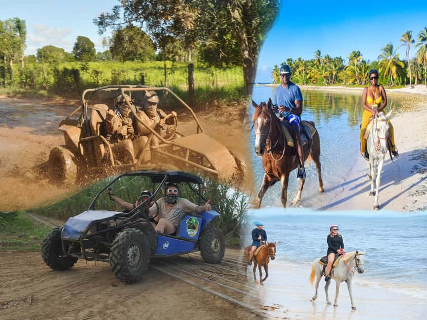 Bayahibe: Buggy and Horseback Riding Tour - A Quiet Horse Ride Through Tropical Plantations