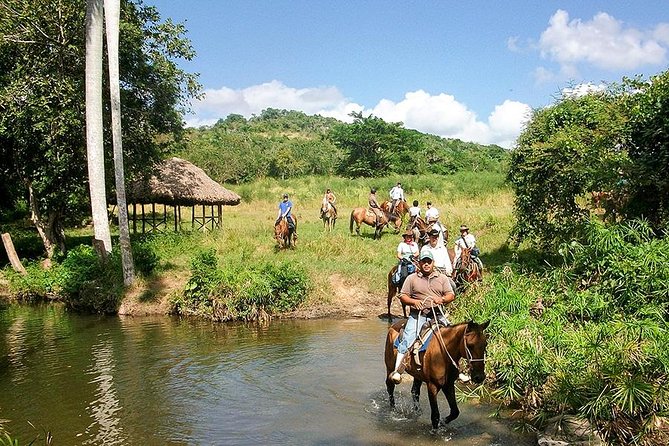 Bayahíbe Horseback Riding & River swimmig - From Bayahibe’s forest to the Chavón River