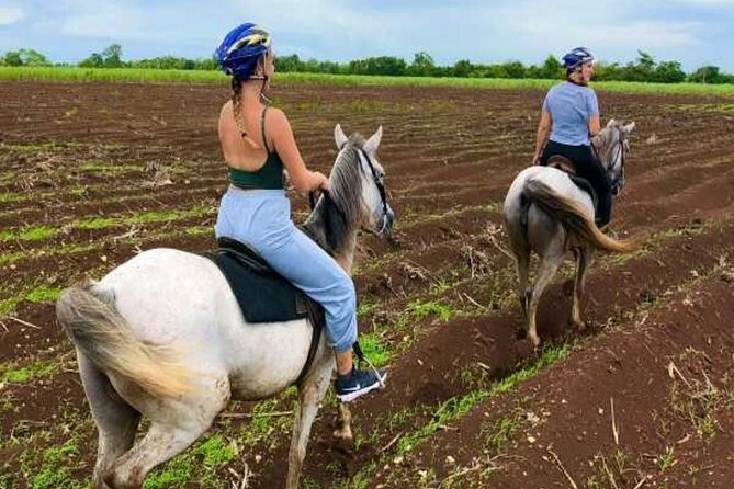 Bayahíbe Horseback Riding & River swimmig - Weather, cancellations, and practical planning