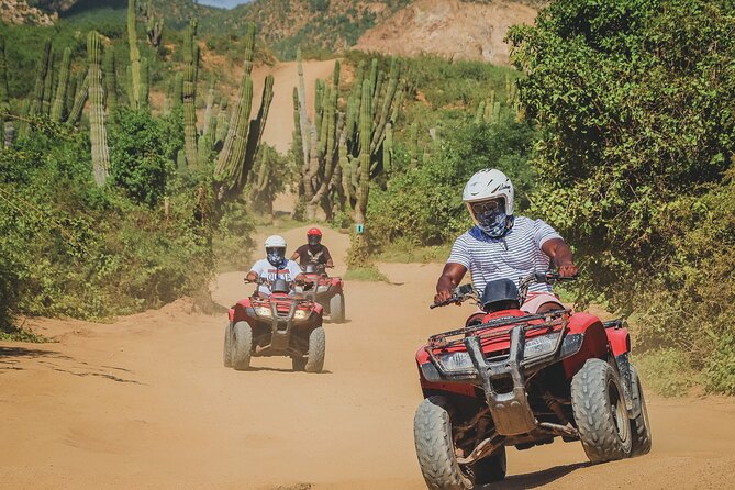 Beach ATV Adventure, Free Horseback Ride, and Sky Bike Experience - Migriño, sunsets, and winter whale watching
