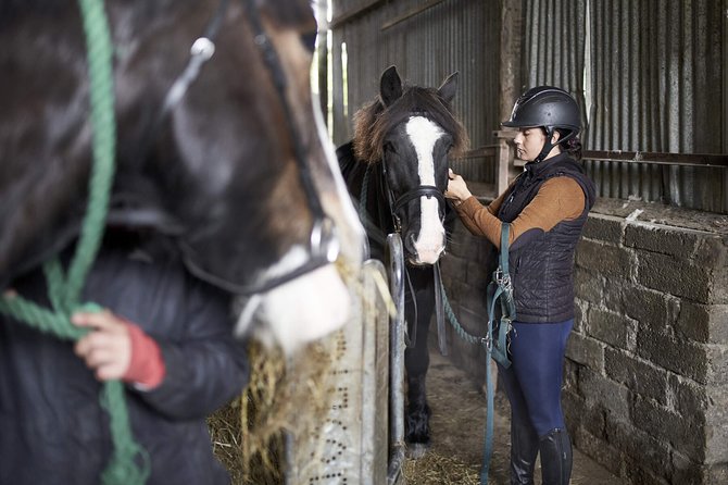 Beach & countryside horse riding outside Westport. Guided. 1 hour - Getting comfortable in the saddle