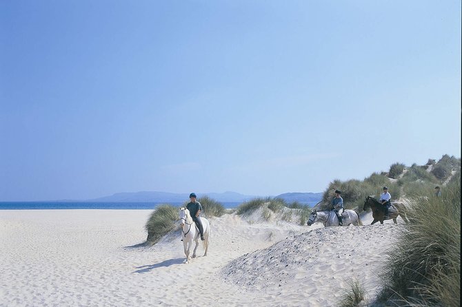 Beach & countryside horse riding outside Westport. Guided. 1 hour - Seal Rock, Dorinish Island, and the view toward Croagh Patrick