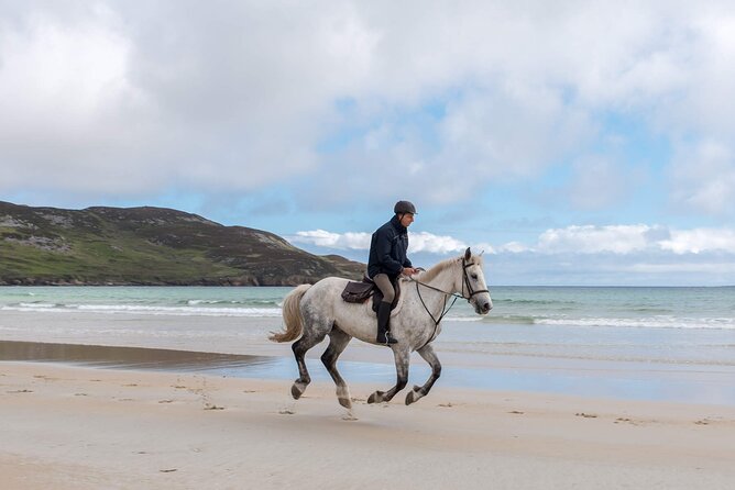 Beach & countryside horse riding outside Westport. Guided. 1 hour - Is $102.58 good value for one hour?