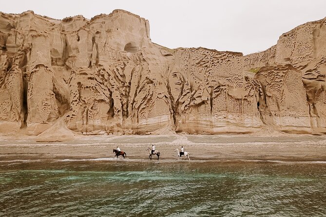 Beach Gallop - Horse Riding Safari for Experienced Riders - Key points to know before booking