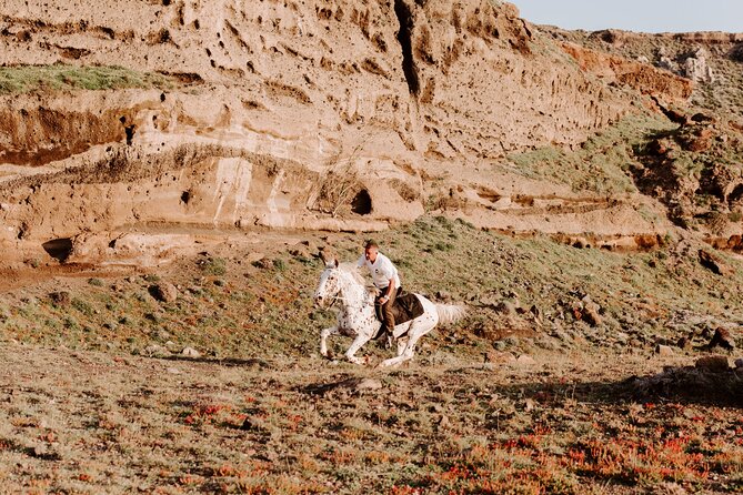 Beach Gallop - Horse Riding Safari for Experienced Riders - What the horses and guides add