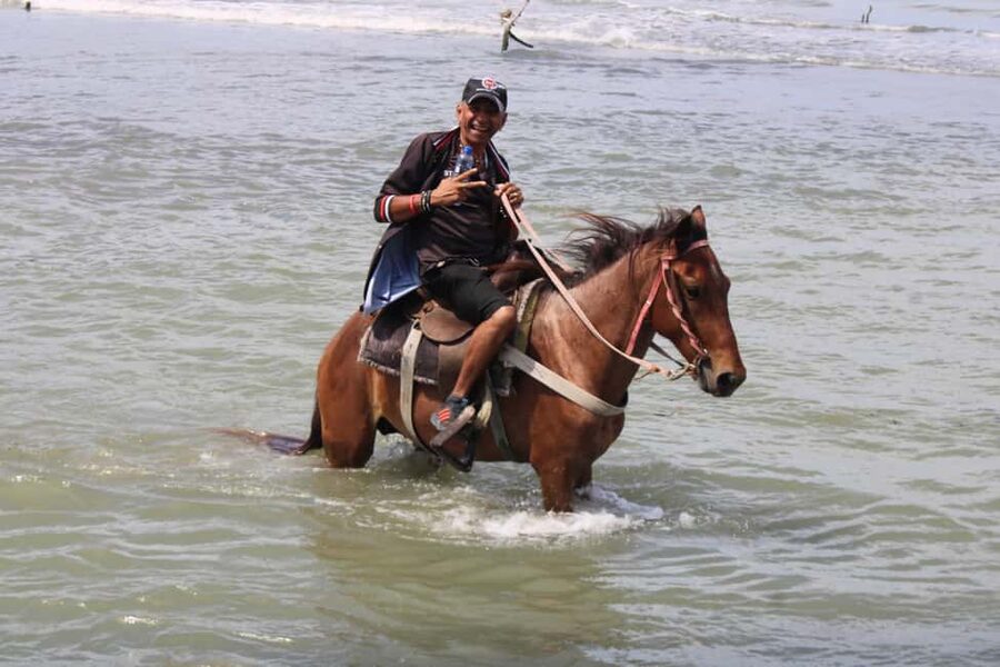Beach horse back riding with countryside - Key points to know before you book