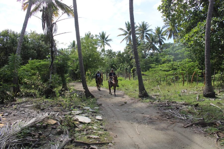 Beach horse back riding with countryside - How the horses and guides affect the experience