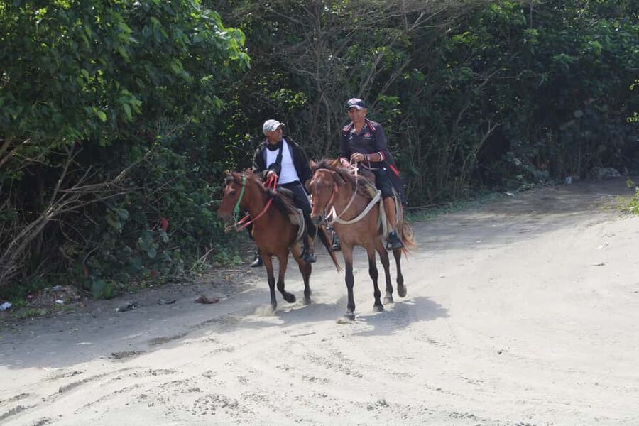 Beach horse back riding with countryside - What the one-hour ride is really like