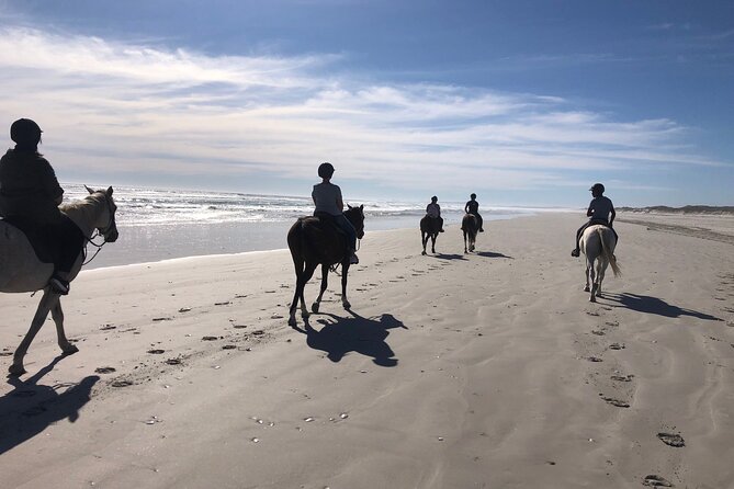 Beach Horse Ride in Yzerfontein, Western Cape - Key details before you saddle up