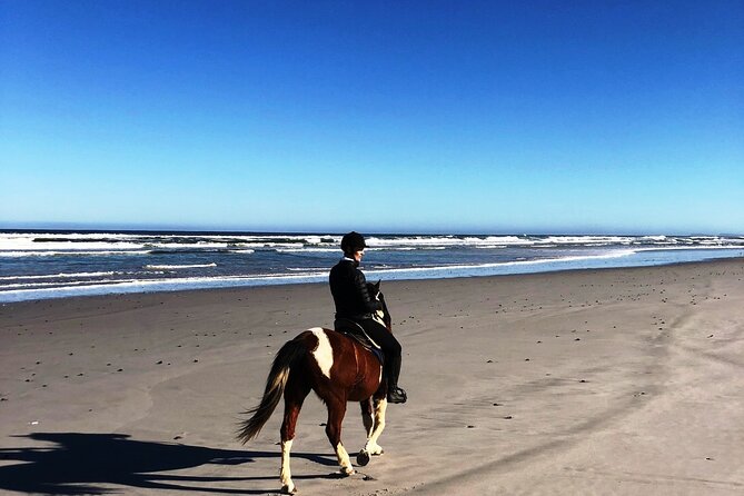 Beach Horse Ride in Yzerfontein, Western Cape - Riding out from Yzerfontein Community Hall