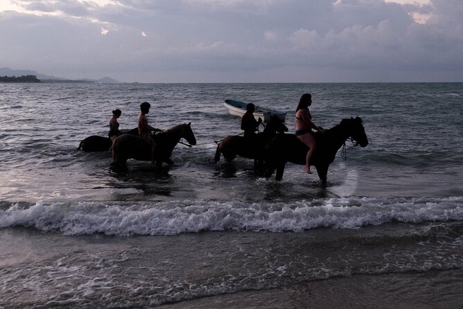 Beach Horse Ride with countryside amber cove & Taino Bay - From the port to the ranch