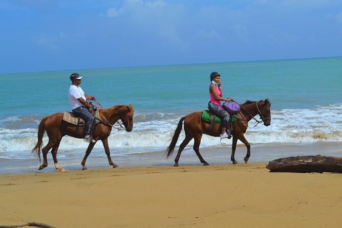 Beach Horse Ride with countryside amber cove & Taino Bay - Who will enjoy this ride most