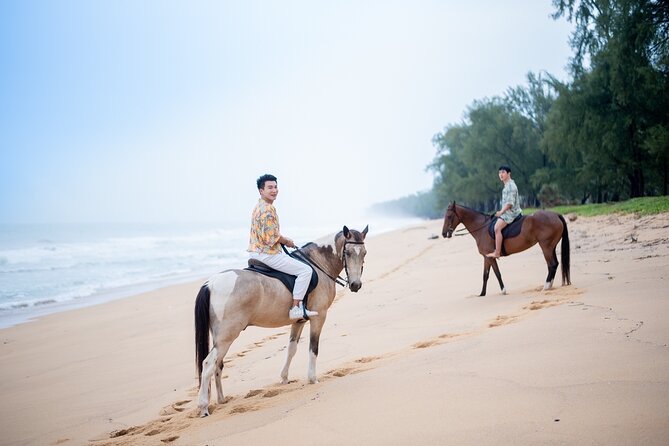 Beach Horse Riding Activity in Phuket - The horses, guides, and level of attention