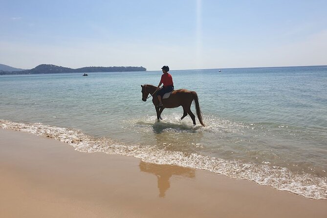 Beach Horse Riding Activity in Phuket - Booking, cancellation, and timing tips