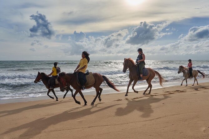 Beach Horse Riding Activity in Phuket - What happens during the one-hour outing