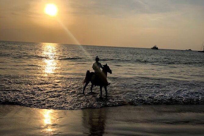 Beach Horse Riding At Sunset In Phuket - What the horse welfare concern means for you