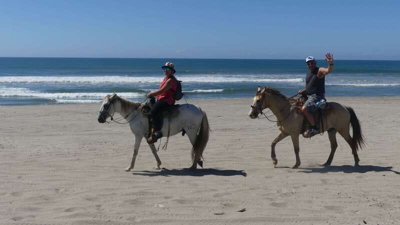 .Beach Horse Riding Turtle Release Crocodile Farm Experience - Key points to know before booking