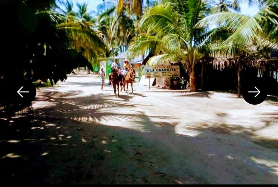 .Beach Horse Riding Turtle Release Crocodile Farm Experience - Who should book this experience?