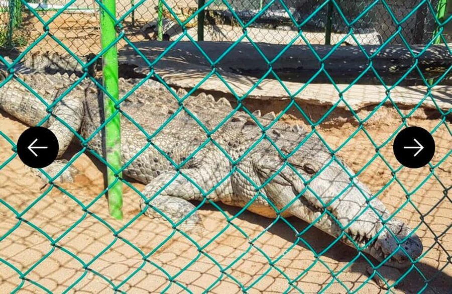 .Beach Horse Riding Turtle Release Crocodile Farm Experience - The drive beyond Acapulco begins the change of pace