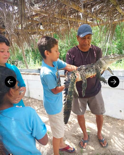 .Beach Horse Riding Turtle Release Crocodile Farm Experience - An Afro-Mexican village adds a human story