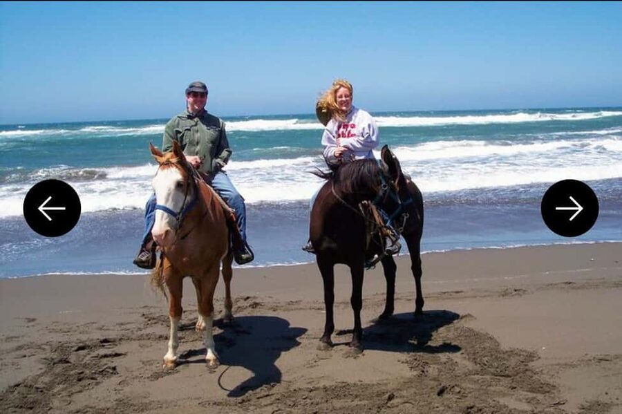 .Beach Horse Riding Turtle Release Crocodile Farm Experience - The one-hour horseback ride is the main outdoor event