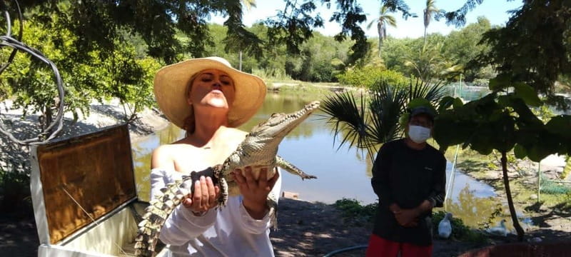 .Beach Horse Riding Turtle Release Crocodile Farm Experience - The crocodile farm changes the mood
