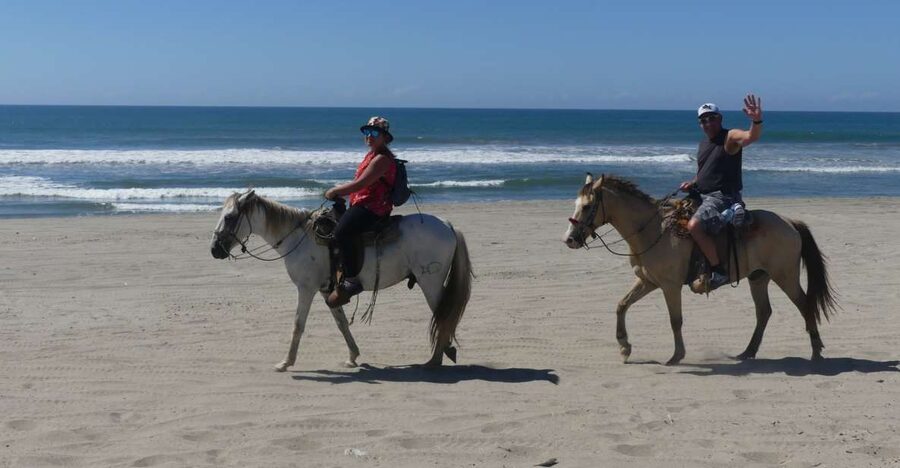 .Beach Horse Riding Turtle Release Crocodile Farm Experience - What $125 includes, and what it does not