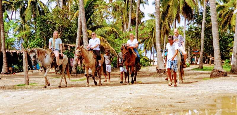 .Beach Horse Riding Turtle Release Crocodile Farm Experience - Guides, language, and the feel of the day