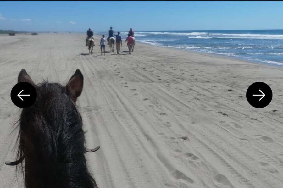 .Beach Horse Riding Turtle Release Crocodile Farm Experience - The Vallarino Turtle Camp puts conservation first