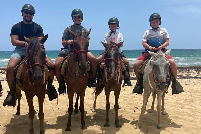 Beach Horseback Ride Tour at Punta Cana - Who will enjoy this ride most