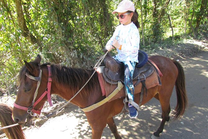 Beach Horseback Ride Tour in Puerto Plata - Scenic & Fun for All - From Puerto Plata port to the countryside
