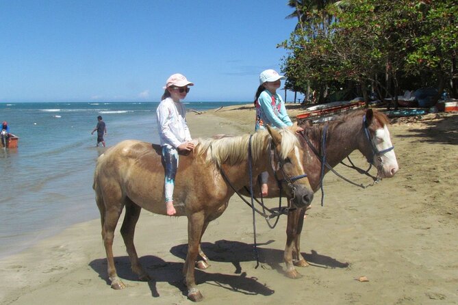 Beach Horseback Ride Tour in Puerto Plata - Scenic & Fun for All - A low-key break at the beach bar
