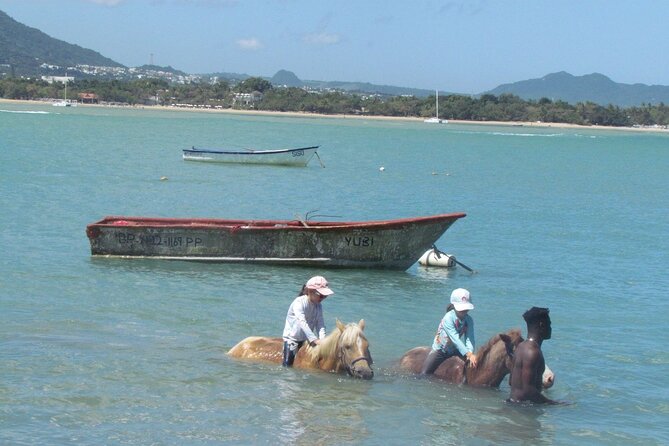 Beach Horseback Ride Tour in Puerto Plata - Scenic & Fun for All - How the ride suits beginners and experienced riders