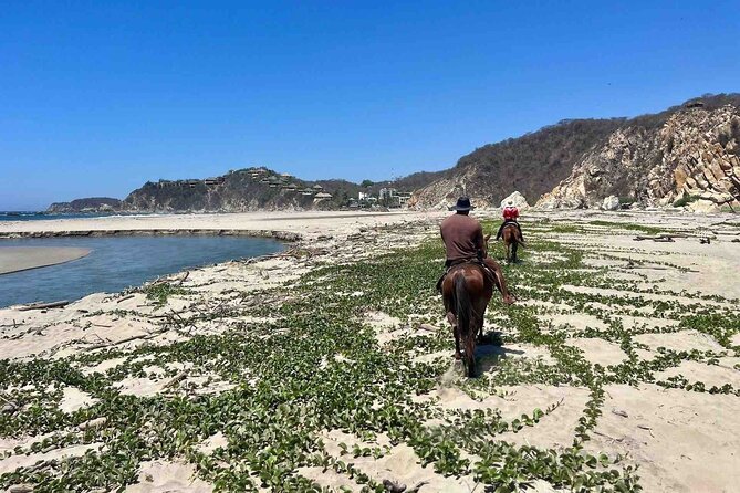 Beach Horseback Riding Adventure in Copalita, Huatulco - The horses and the small farm setting