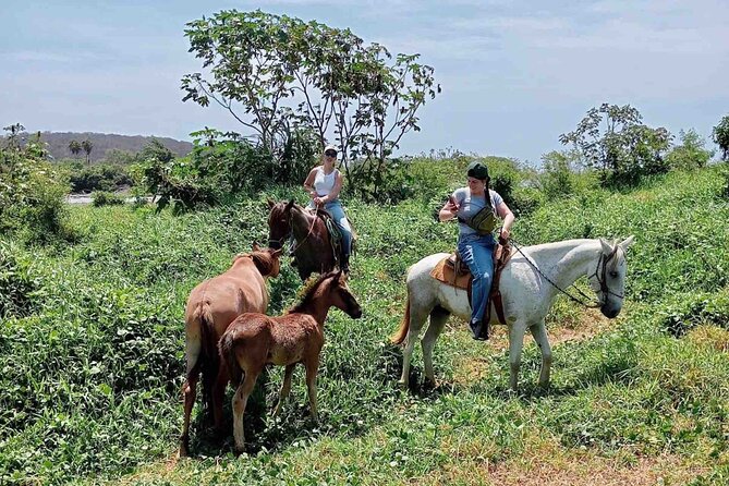 Beach Horseback Riding Adventure in Copalita, Huatulco - Timing, comfort, and what to wear