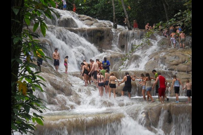 Beach Horseback Riding and Dunn’s River Falls - Riding through Jamaica to the north coast