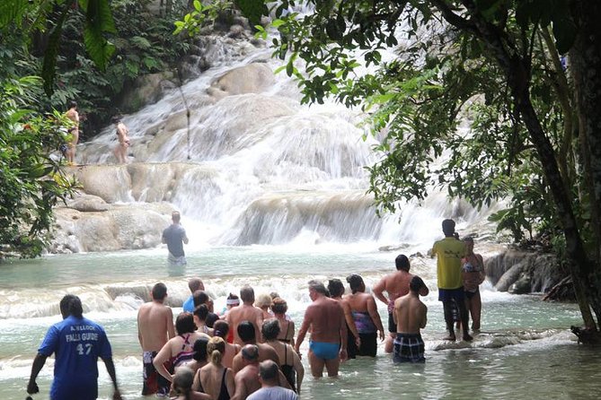 Beach Horseback Riding and Dunn’s River Falls - What the guides add, and where the day can disappoint